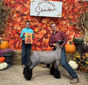 Riecke Club Lambs Winners