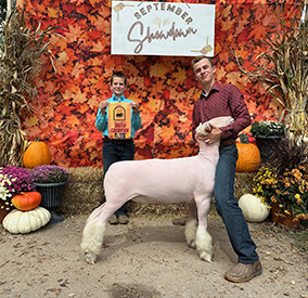 Riecke Club Lambs Winners