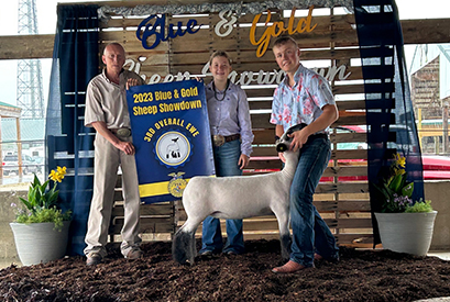 Riecke Club Lambs Winners