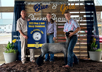Riecke Club Lambs Winners