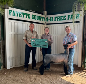 Riecke Club Lambs Winners