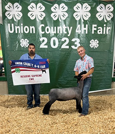Riecke Club Lambs Winners