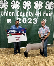 Riecke Club Lambs Winners