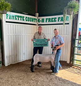 Riecke Club Lambs Winners