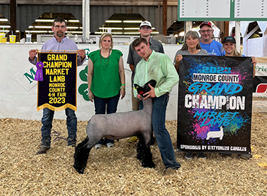 Riecke Club Lambs Winners