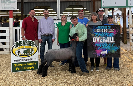 Riecke Club Lambs Winners