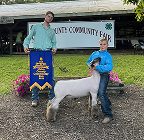 Riecke Club Lambs Winners