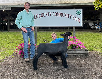 Riecke Club Lambs Winners