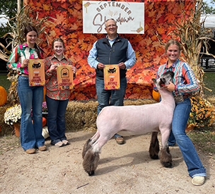 Riecke Club Lambs Winners