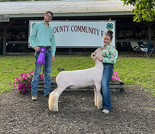 Riecke Club Lambs Winners