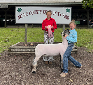 Riecke Club Lambs Winners