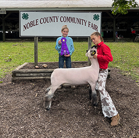 Riecke Club Lambs Winners