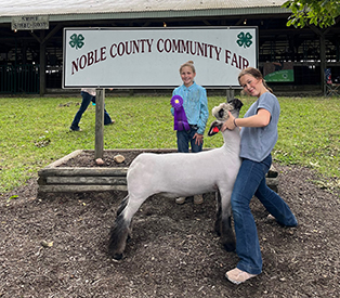 Riecke Club Lambs Winners