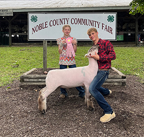 Riecke Club Lambs Winners
