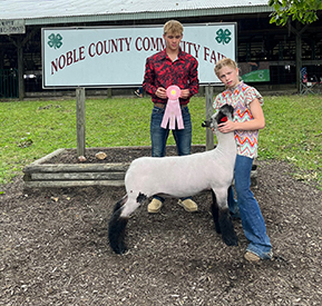 Riecke Club Lambs Winners