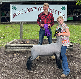 Riecke Club Lambs Winners