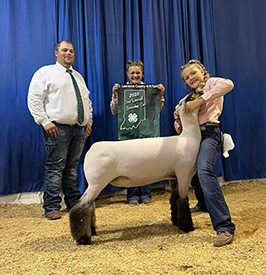 Riecke Club Lambs Winners