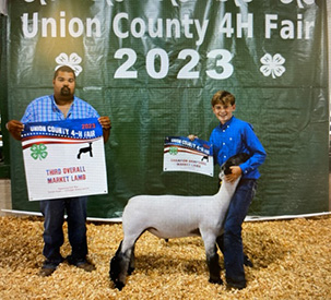 Riecke Club Lambs Winners