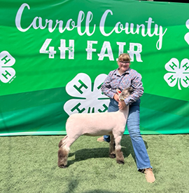 Riecke Club Lambs Winners