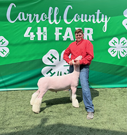 Riecke Club Lambs Winners