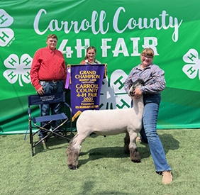 Riecke Club Lambs Winners