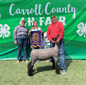Riecke Club Lambs Winners