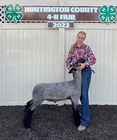 Riecke Club Lambs Winners