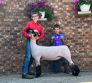 Riecke Club Lambs Winners