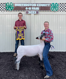 Riecke Club Lambs Winners