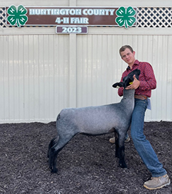 Riecke Club Lambs Winners