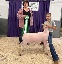 Riecke Club Lambs Winners