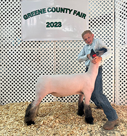 Riecke Club Lambs Winners