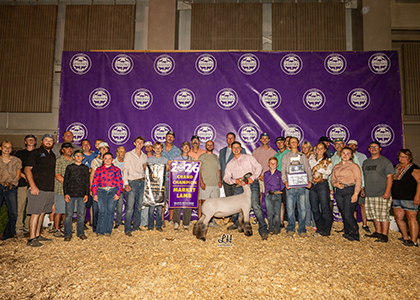 Grand Champion Market Lamb
Champion Hamp
2026 Michigan Livestock Expo
