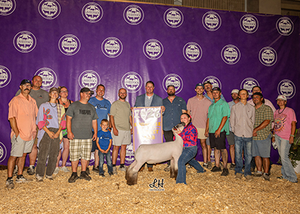 3rd Overall Shrop
2026 Michigan Livestock Expo
Shown by Alexis Reif
Sired by Tres Amigos