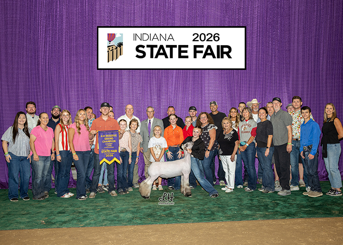 Reserve Grand Champion Market Lamb
Champion Crossbred
2026 Indiana State Fair