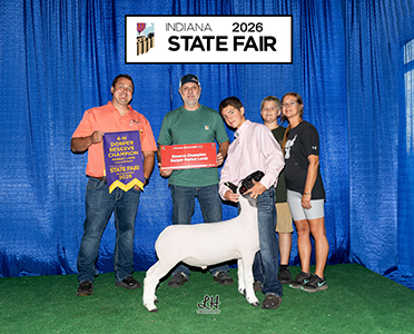 Reserve Champion Dorper
2026 Indiana State Fair